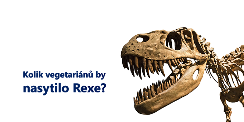 3307x1654_rex