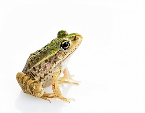 Exercise image